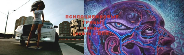 круглые Алексин