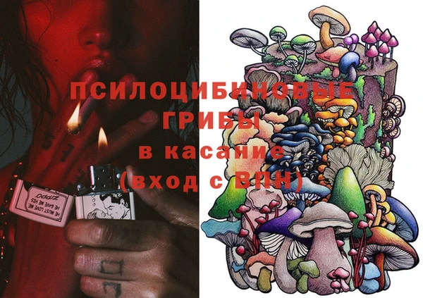 PSILOCYBIN Алзамай