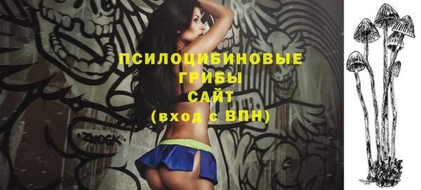 твердый Алексеевка