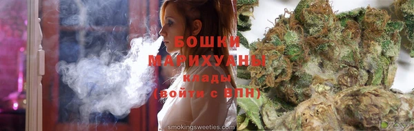 PSILOCYBIN Алзамай